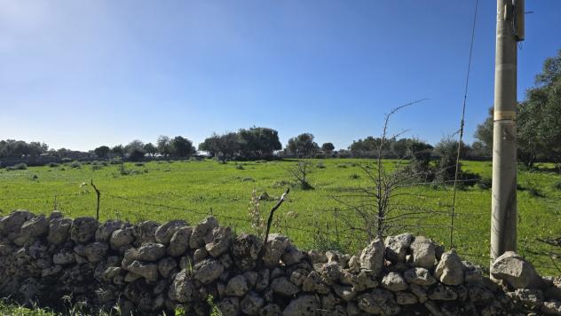 Agricolo in vendita a Siracusa - Foto 10