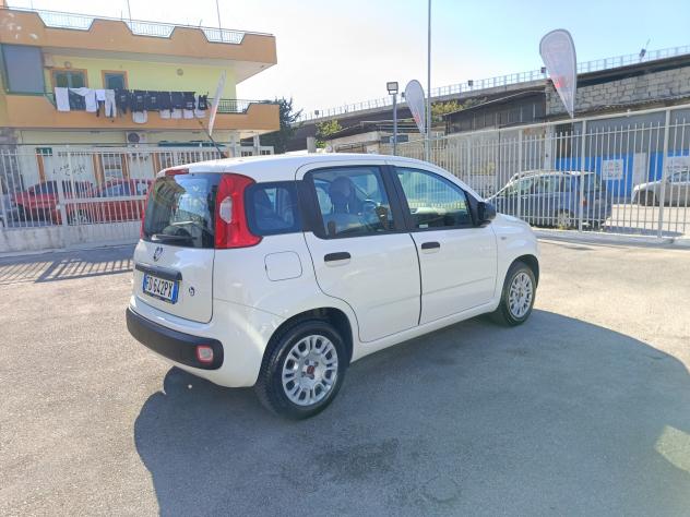 PANDA GPL - Foto 9
