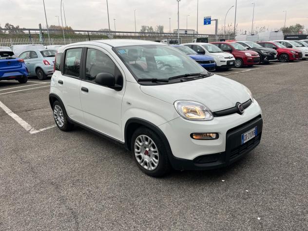 FIAT Panda Panda 1.0 FireFly S&S Hybrid - Foto 3