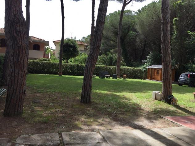 Appartamento in affitto a Rosignano Marittimo 65 mq Rif: 702473