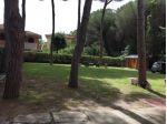 Appartamento in affitto a Rosignano Marittimo 65 mq  Rif: 702473
