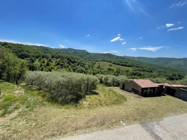 Agricolo in vendita a Piegaro - Foto 3