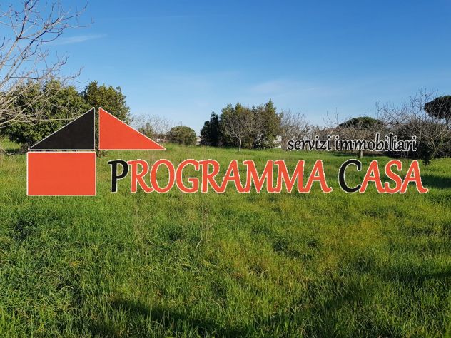 POMEZIA ZONA CASTAGNETTA VIA TIGLI TERRENO PROX EDIFICBILITA 2300 MQ - Foto 3