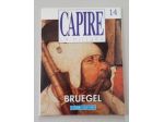 BRUEGEL