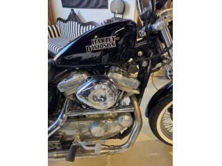 HARLEY-DAVIDSON 883 Sportster XL 883  rif. 23982924