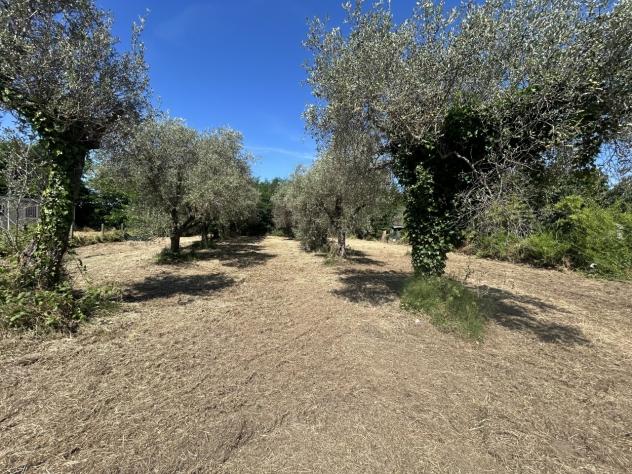 Terreno edificabile in vendita a Luni