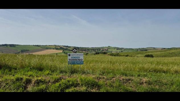 San costanzo proponiamo in vendita azienda agricola di circa 18 ettari. il terreno gode di un'ottima esposizione ed è facilmente raggiungibile dalle p - Foto 4