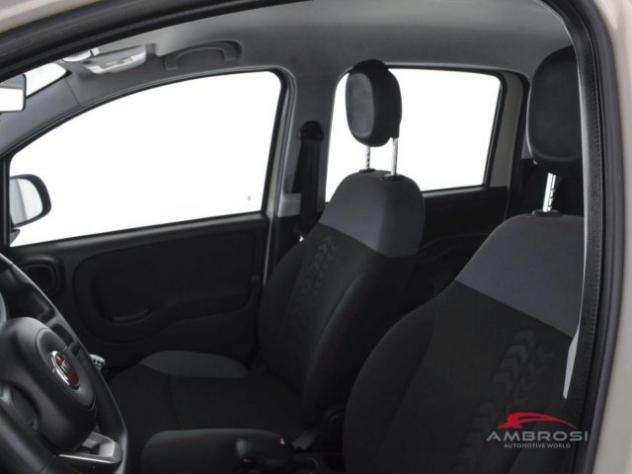 FIAT Panda 1.2 Easy rif. 24087617 - Foto 9
