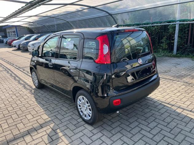 FIAT Panda Pandina 1.0 firefly hybrid Icon s&s 65cv 5p.ti - Foto 9