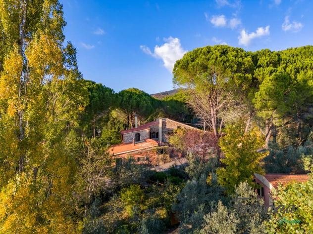 Casale in vendita a Roccatederighi - Roccastrada 390 mq Rif: 1424454 - Foto 6