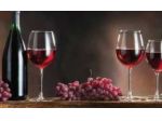 Enoteca wine bar