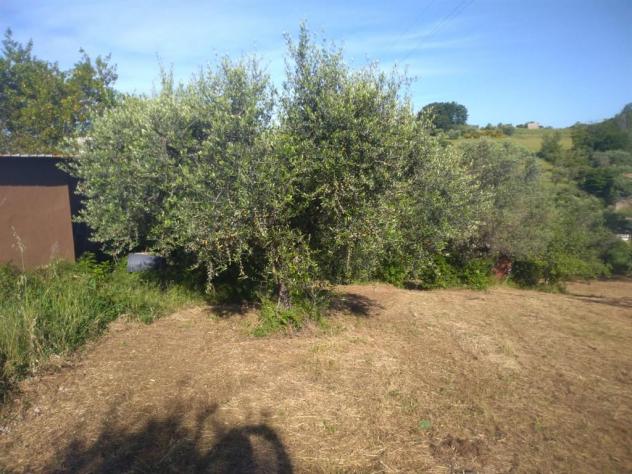 LANUVIO - Foto 11