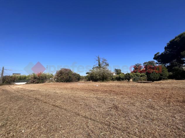 Terreno Agricolo - Terracina . Rif.: Cod. rif 3164267VRG - Foto 8