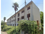 Oltre 3 vetrine in affitto a San Nicola la Strada