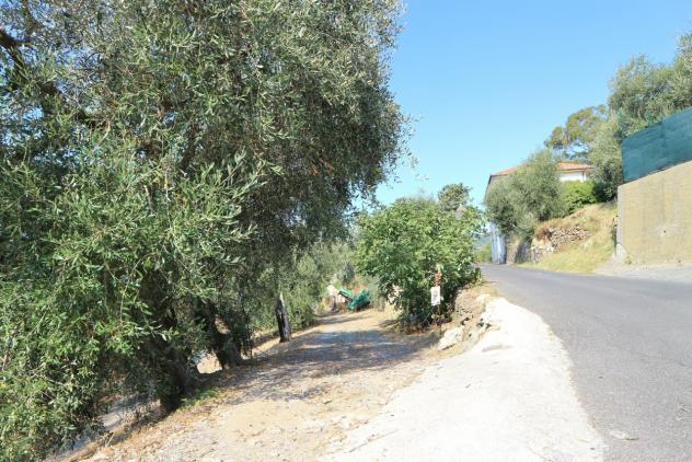 Casale in vendita a Diano San Pietro - Foto 20