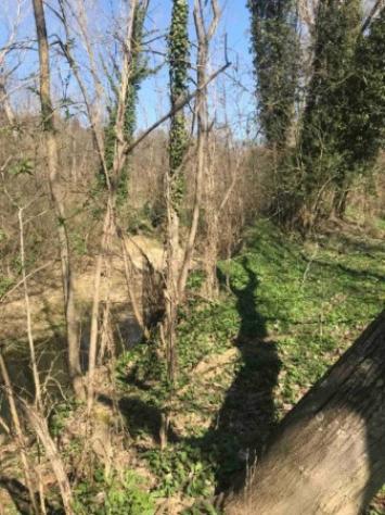 Immobile in asta di 18050 m² in vendita a Poggibonsi - Foto 9