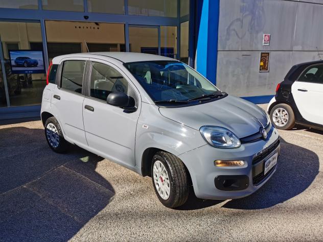 Fiat Panda 1.2 Easy 70cv Iva Detraibile - Foto 2