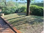 Villetta a schiera angolare in vendita a Vicopisano 144 mq  Rif: 1453088
