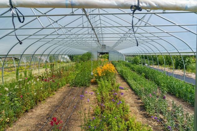Aziende agrarie e floricole Centro e Nord Italia