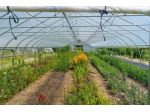 Aziende agrarie e floricole Centro e Nord Italia