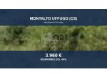 Immobile in asta di 830 m² in vendita a Montalto Uffugo