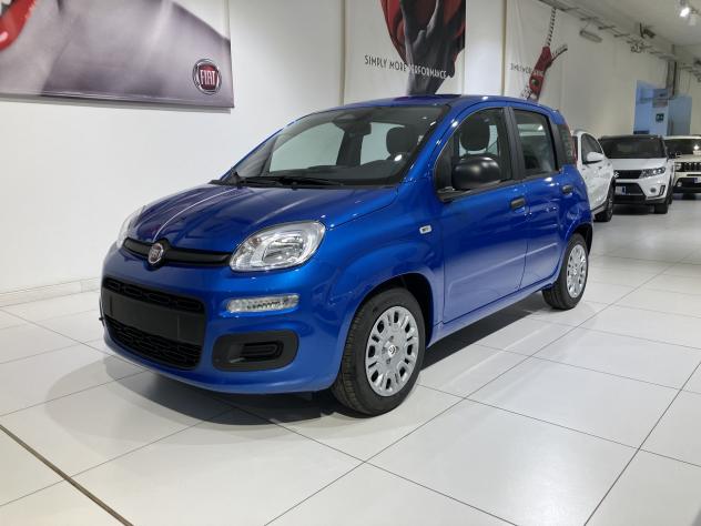 FIAT Panda 1.0 FireFly 70cv S&S Hybrid Icon vari colori