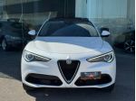 Alfa Romeo Stelvio 2.0 Turbo 280 CV AT8 Q4 Executive con impianto metano