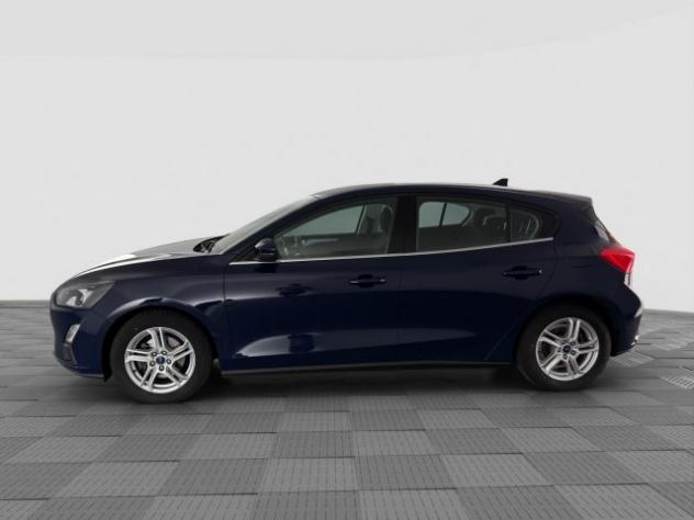 FORD Focus Focus 1.5 EcoBlue 120 CV 5p. Business rif. 24104543 - Foto 2