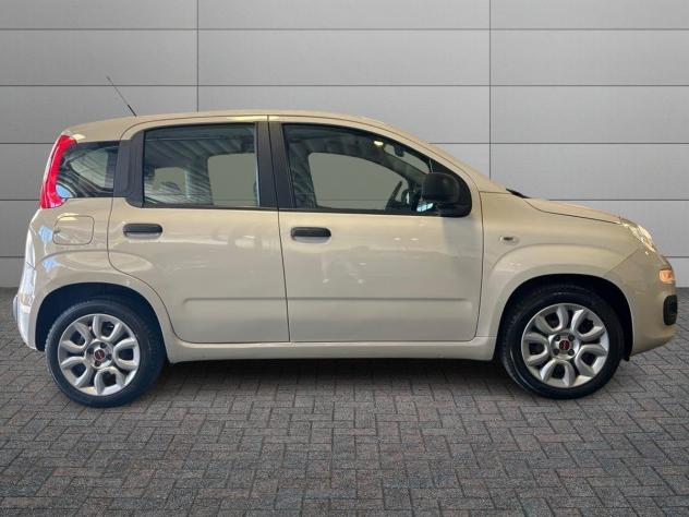 FIAT Panda 3ª serie - 1.2 Pandazzurri - Foto 3