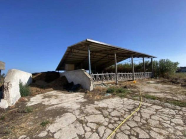 Immobile in asta di 361 m² in vendita a Latina - Foto 3
