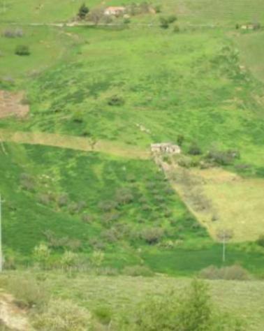 Immobile in asta di 45870 m² in vendita a Nissoria - Foto 3
