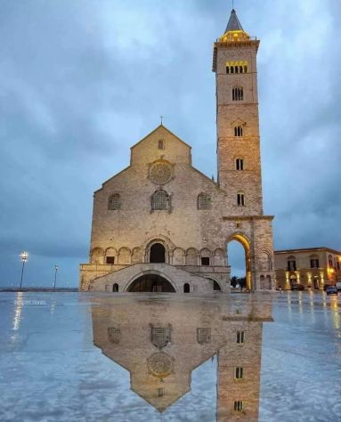 Ncc Trani PugliaCab - Foto 3