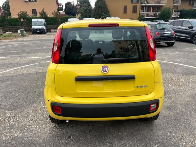 FIAT Pandina Pandina 1.0 firefly hybrid Icon s&s 65cv - Foto 10