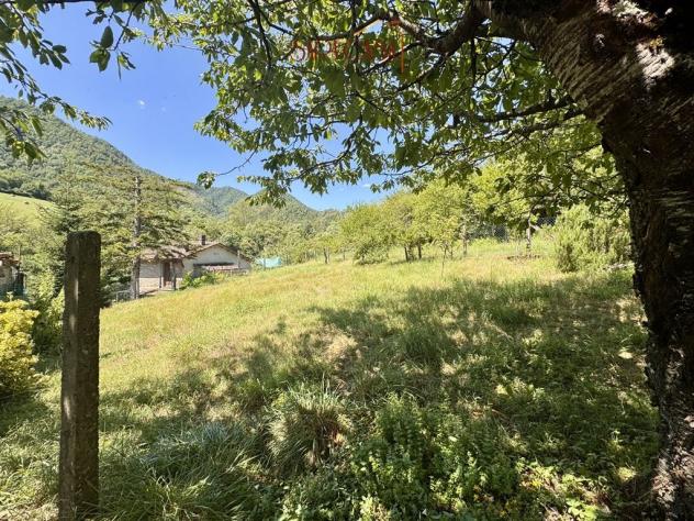 Appartamento con ingresso indipendente, ampio giardino e annessa casa in sasso - Foto 17