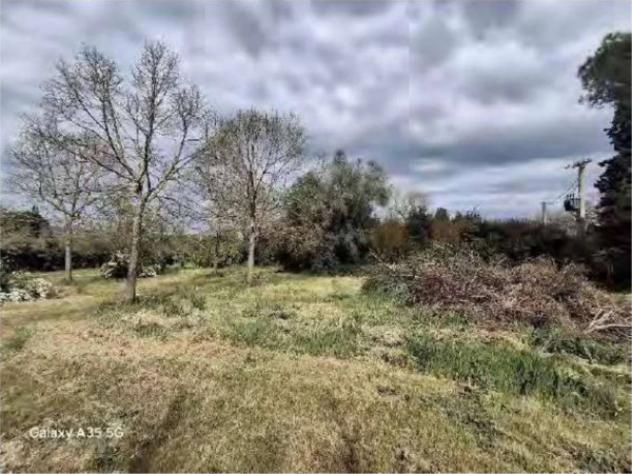 Immobile in asta di 134 m², box auto in vendita a Scansano - Foto 4