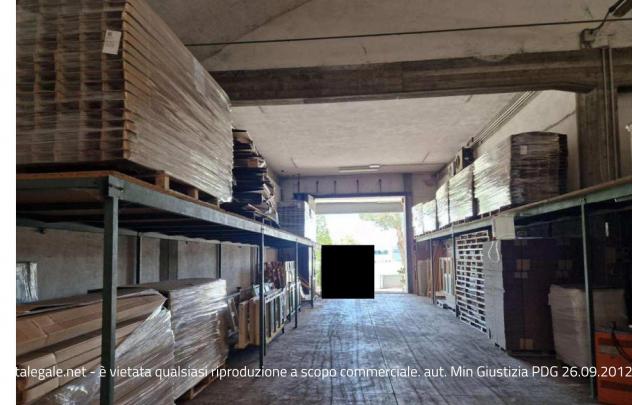 R.G.E. 167/2023 Pesaro - Foto 10