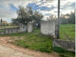 Agricolo in vendita a Caltanissetta
