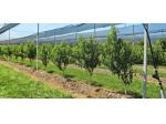 Terreno di 200000 m² in vendita a Carpi