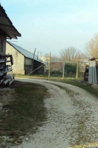 Immobile in asta di 286 m² con più di 5 locali in vendita a Mansuè - Foto 7
