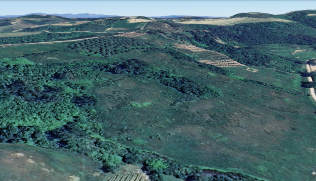 Terreno agricolo in vendita a San Miniato 76300 mq  Rif: 1371681