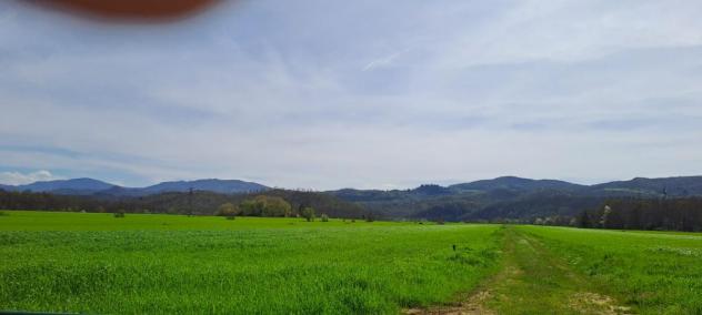 TERRENO AGRICOLO di 130000 mq (SCARPERIA E SAN PIERO - SCARPERIA) rif. AAI788 - Foto 2