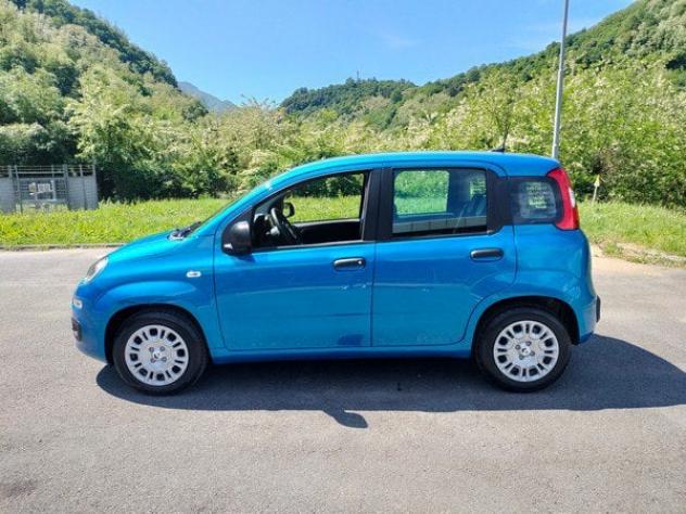 FIAT Pandina 1.0 FireFly 65cv S&S Hybrid Icon 5 posti con comandi al volante!! - Foto 5