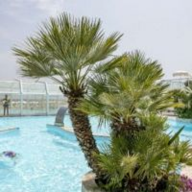 Hotel Ridolfi - Foto 4