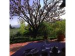 B&B Olivi e Dintorni