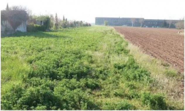 Immobile in asta di 8019 m² in vendita a Istrana - Foto 9