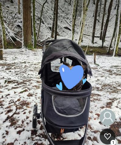 Vendo passeggino per cani di taglia grande usato una sola volta - Foto 7