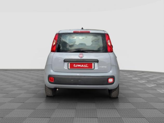 FIAT Panda Panda 1.0 FireFly Hybrid rif. 23952037 - Foto 4