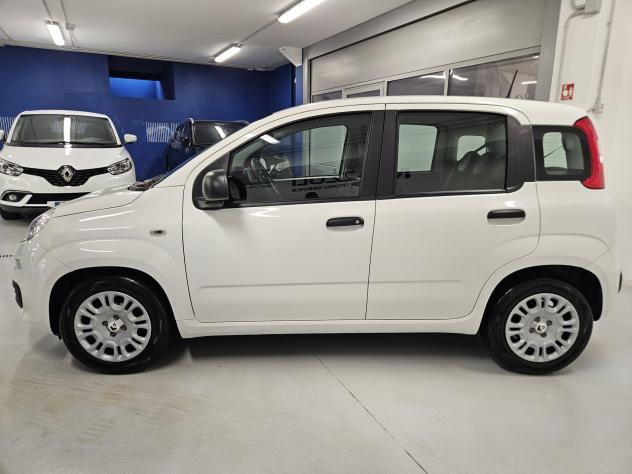 FIAT Panda 1.0 FireFly 70cv S&S Hybrid Pandina - Foto 3
