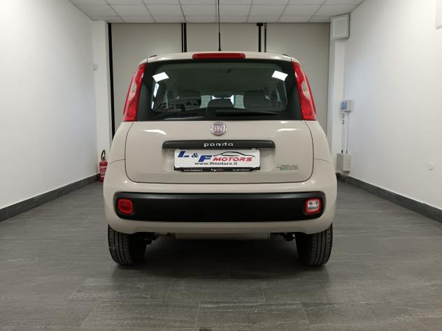 FIAT Panda Panda OK NEOPATENTATI - Foto 6