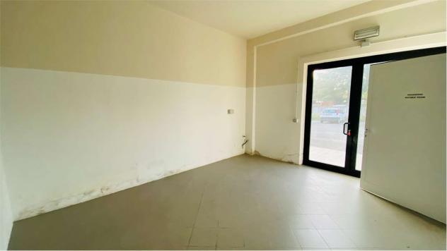 Fondo segro 1200 - Laboratorio a Capannori - Segromigno in Monte - Foto 10